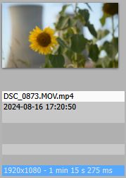 Why Image.Properties are now shown everywhere? <br />Why not create new Video.Properties only for video file types?