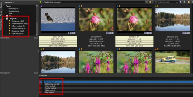 search - XnView MP.jpg