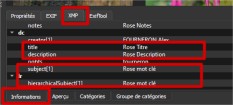 Infos  onglet XMP.jpg