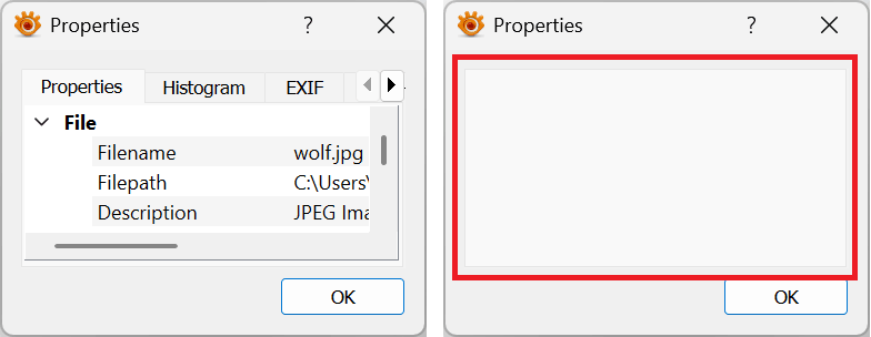 viewer_image_properties.png