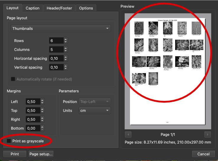 print_error.jpg