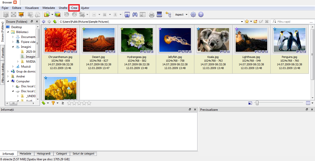 2025_06_01_12_50_38_C_Users_Public_..._Sample_Pictures_XnView_MP.png