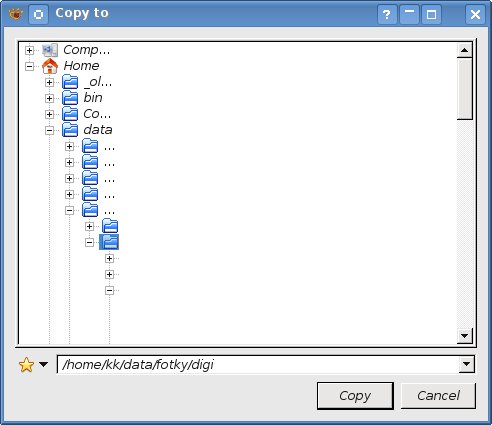 copy_to.jpg